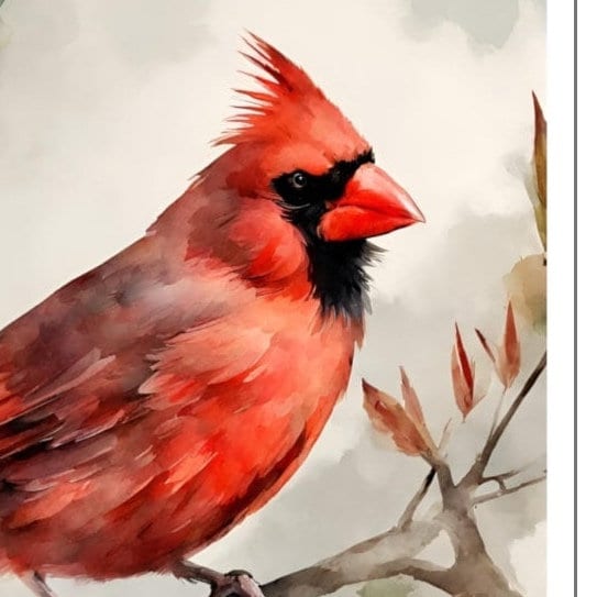 Cardinal Water Resistant Sticker, Durable and Weatherproof Sticker, Handmade Bird Sticker, Best Matte Finish Sticker, Bird Stickers