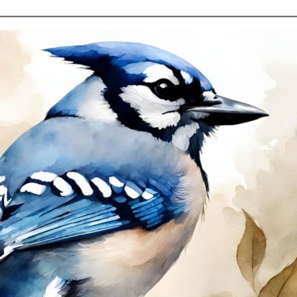 Blue Jay Water Resistant Sticker, Durable and Weatherproof Sticker, Handmade Bird Sticker, Best Matte Finish Sticker, Blue Jay Sticker