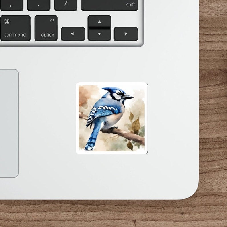 Blue Jay Water Resistant Sticker, Durable and Weatherproof Sticker, Handmade Bird Sticker, Best Matte Finish Sticker, Blue Jay Sticker