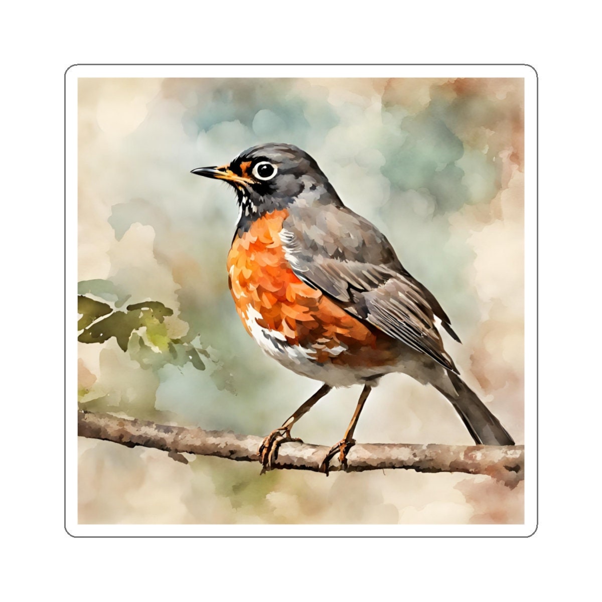 American Robin Water Resistant Sticker, Durable and Weatherproof Sticker, Handmade Bird Sticker, Best Matte Finish Sticker, Bird Stickers