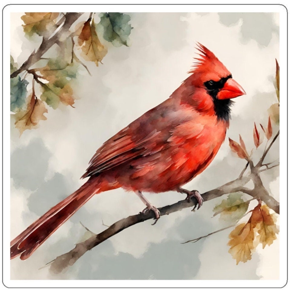 Cardinal Water Resistant Sticker, Durable and Weatherproof Sticker, Handmade Bird Sticker, Best Matte Finish Sticker, Bird Stickers