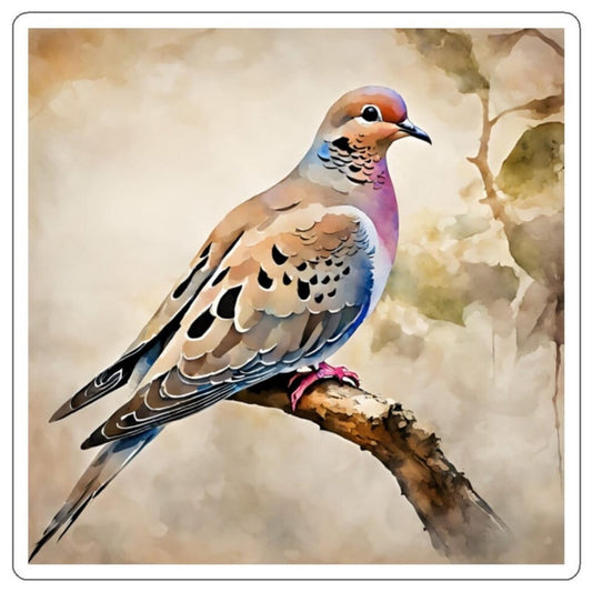 Mourning Dove Water Resistant Sticker, Durable and Weatherproof Sticker, Handmade Bird Sticker, Best Matte Finish Sticker, Bird Stickers