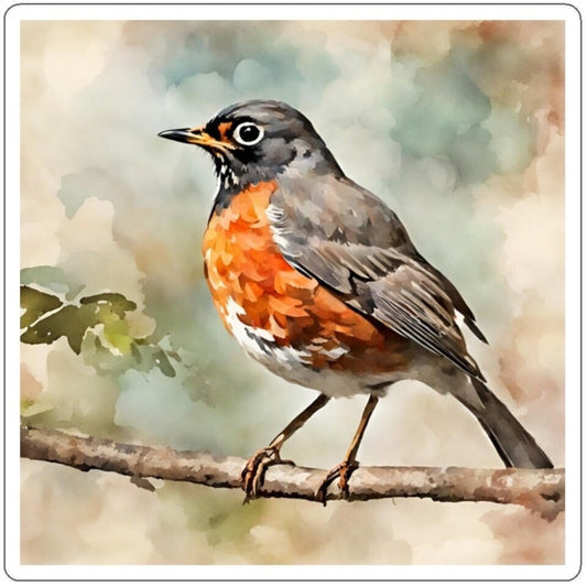 American Robin Water Resistant Sticker, Durable and Weatherproof Sticker, Handmade Bird Sticker, Best Matte Finish Sticker, Bird Stickers